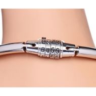 Picture of Stainless Steel Combination Lock Slave Collar