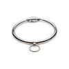 Picture of Stainless Steel Combination Lock Slave Collar