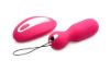 Picture of Ladies Duo Pleasure Kit Vibrating Egg and Remote