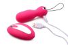 Picture of Ladies Duo Pleasure Kit Vibrating Egg and Remote