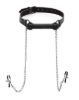 Picture of Silicone Bit Gag with Nipple Clamps
