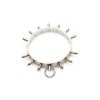 Picture of Stainless Steel Spiked Slave Collar