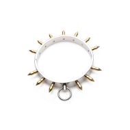 Picture of Stainless Steel Spiked Slave Collar