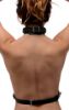 Picture of Female Chest Harness - Large