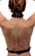 Picture of Female Chest Harness - Large