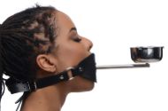 Picture of Ashtray Ball Gag