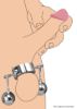 Picture of Ball Strap Metal Ball Stretcher