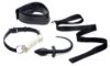 Picture of Puppy Play Set