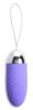 Picture of Grape Gasm 36X Swirled Vibrating Remote Control Egg