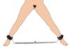 Picture of Squat Anal Impaler with Spreader Bar and Cuffs