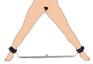 Picture of Squat Anal Impaler with Spreader Bar and Cuffs