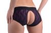 Picture of Lace Envy Pegging Set with Lace Crotchless Panty Harness and Dildo - L-XL
