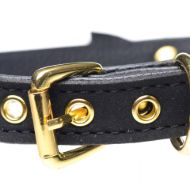 Picture of Golden Kitty Cat Bell Collar - Black/Gold