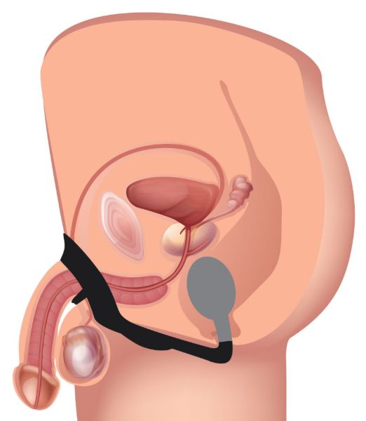Picture of 10X P-Bomb Silicone Cock and Ball Ring with Vibrating Anal Plug