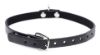 Picture of Collared Vixen Silver Ring Slim Choker