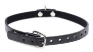 Picture of Collared Vixen Silver Ring Slim Choker