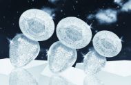 Picture of Glitter Gem Anal Plug Set - Silver