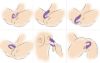 Picture of 7X Pulse Pro Pulsating and Clit Stimulating Vibrator with Remote Control