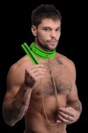 Picture of Kink in the Dark Glowing Collar with Leash