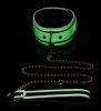 Picture of Kink in the Dark Glowing Collar with Leash