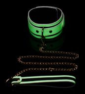 Picture of Kink in the Dark Glowing Collar with Leash