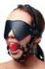 Picture of Blindfold Harness and Red Ball Gag