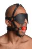 Picture of Blindfold Harness and Red Ball Gag