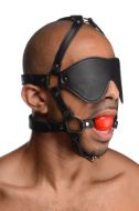 Picture of Blindfold Harness and Red Ball Gag