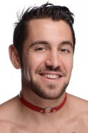 Picture of Fiery Pet Leather Choker with Silver Ring