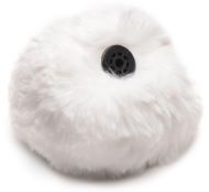 Picture of Interchangeable Bunny Tail - White