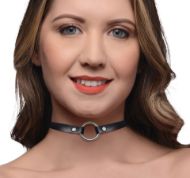 Picture of Lush Pet Silver Ring Slim Choker