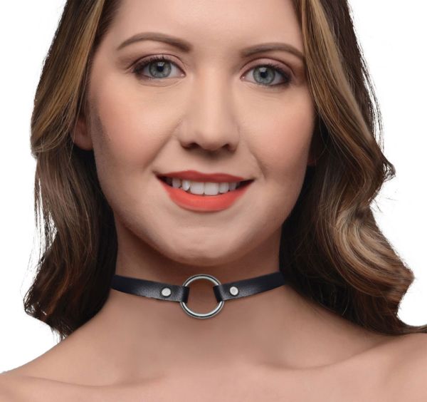 Picture of Lush Pet Silver Ring Slim Choker