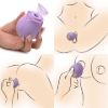 Picture of Bloomgasm Wild Rose 10X Suction Clit Stimulator - Purple