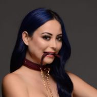Picture of 6 Piece Velvet Bondage Set
