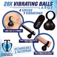 Picture of 28X Vibrating Balls Large