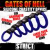 Picture of Silicone Gates of Hell Chastity Device