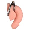 Picture of Locking Cock and Ball Ring