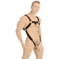 Picture of Heathen's Male Body Harness - S/M