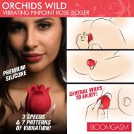 Picture of Orchids Wild Vibrating Pinpoint Rose Tickler
