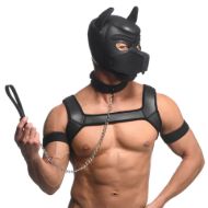 Picture of Full Pup Arsenal Set