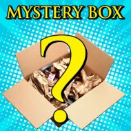 Picture of Male Sex Toy Mystery Box Medium