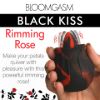 Picture of Black Kiss Rimming Rose