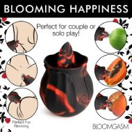 Picture of Black Kiss Rimming Rose