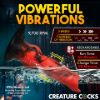 Picture of Vibra Beast Vibrating Silicone Dildo