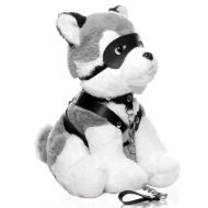 Picture of Max the Fetish Pup