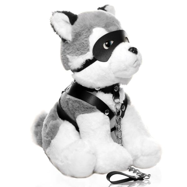 Picture of Max the Fetish Pup