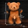 Picture of The Flasher Exhibitionist Teddy Bear