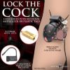 Picture of Lock Down Chastity Cage