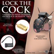 Picture of Lock Down Chastity Cage