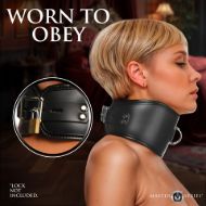 Picture of Hard Stance Padded Locking Posture Collar